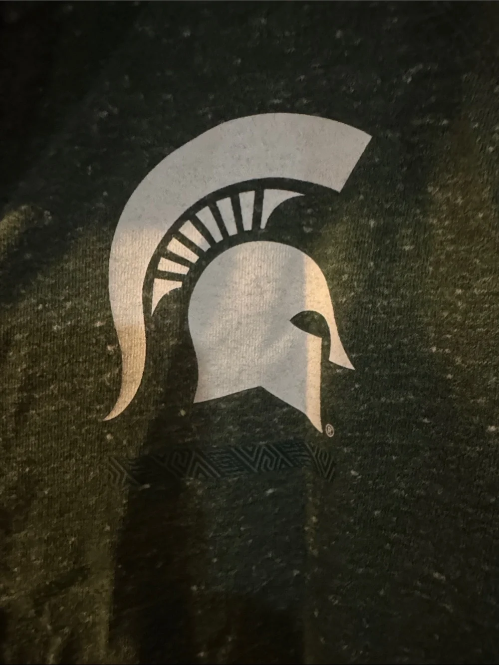 Nike Speckled Olive Green Full-Zip Michigan State Hoodie